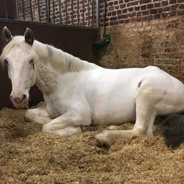 received_1032195943817540