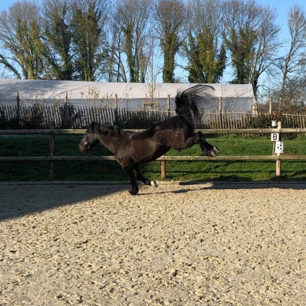 received_1034376036901152