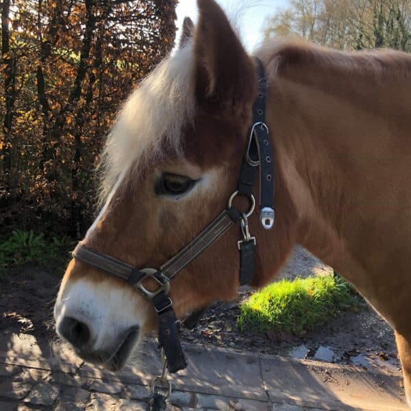 received_1312237912270923