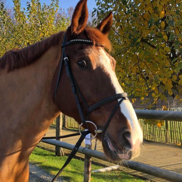 received_1415518888619032