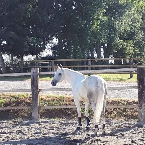 received_1418152801675956