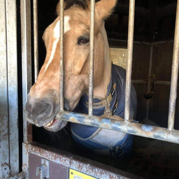 received_2170410176600842