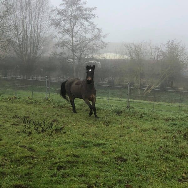 received_2184346308535367