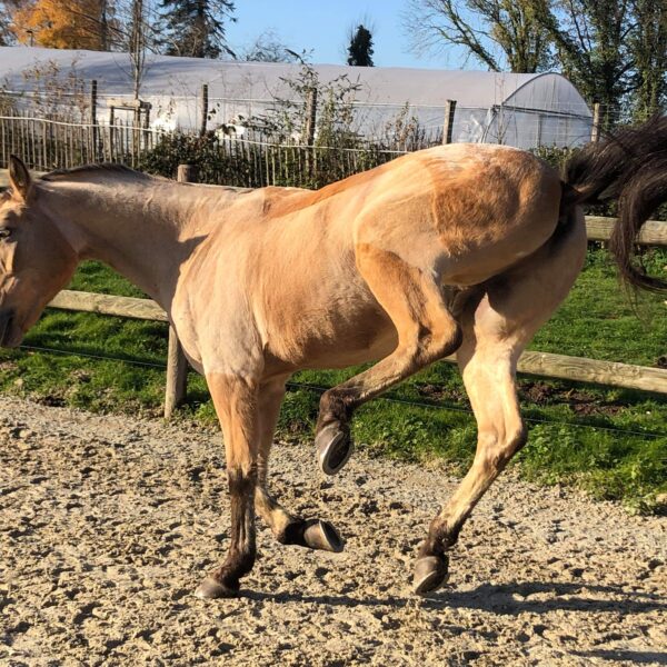 received_2347951375333027