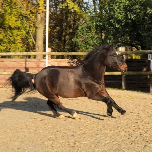 received_2358932541083391