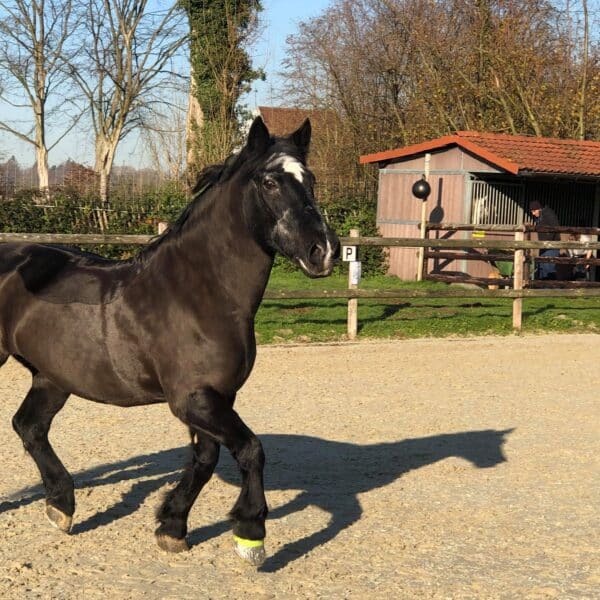 received_2502895996473238