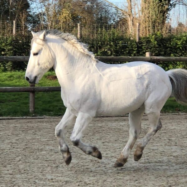 received_2511752435776041