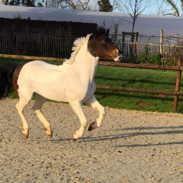 received_2518192974915674