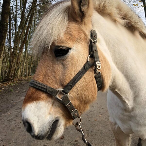 received_2574685329275355