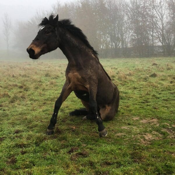 received_2623189401102889