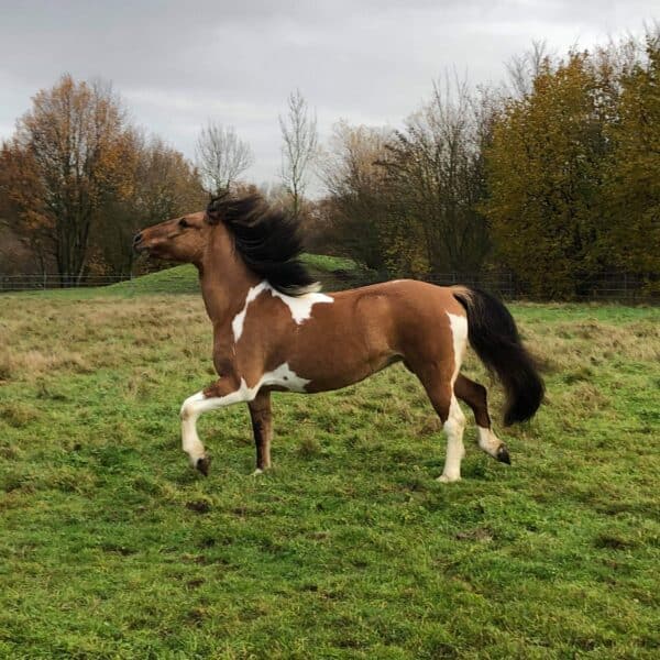 received_2836462469745131