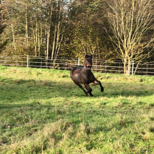 received_3308402392566177