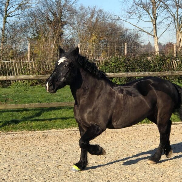 received_3708594092491567