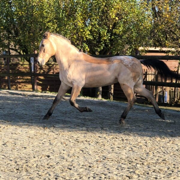 received_404563050430841