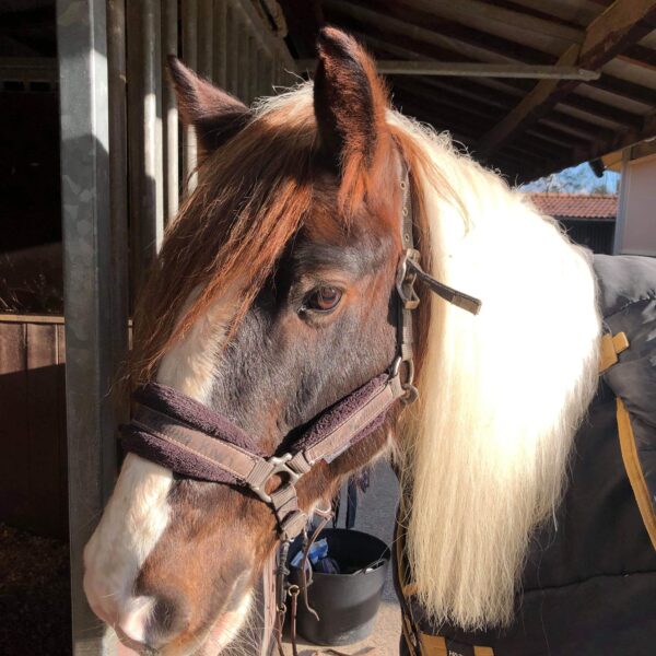 received_440433280002576