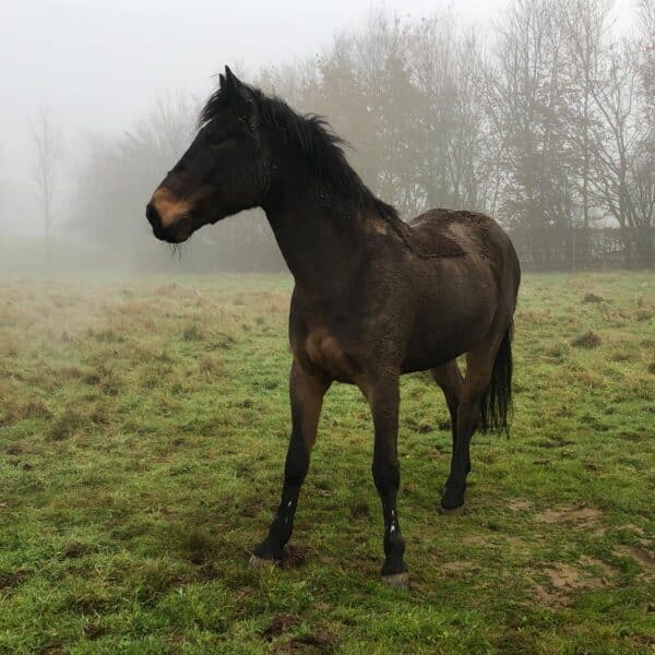 received_469734750412814