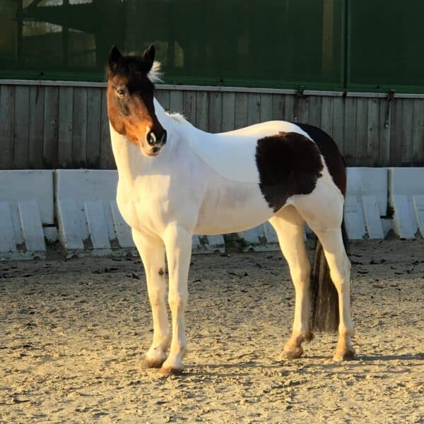 received_496061527785716