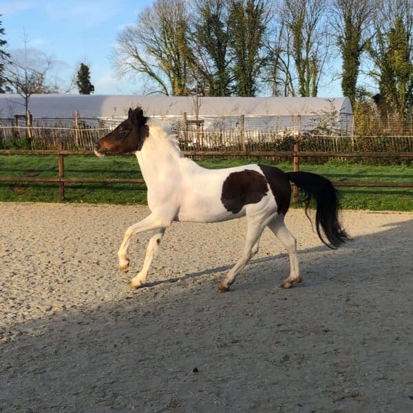 received_515326012394544