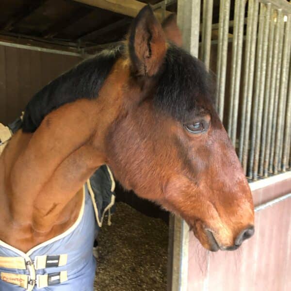 received_551175482111971