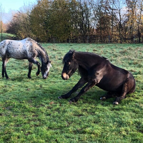 received_552485808650792