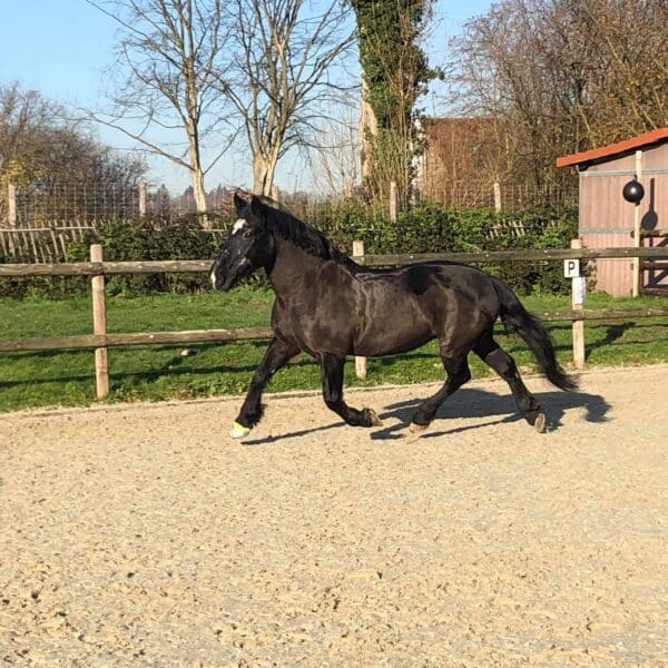 received_555850055247541