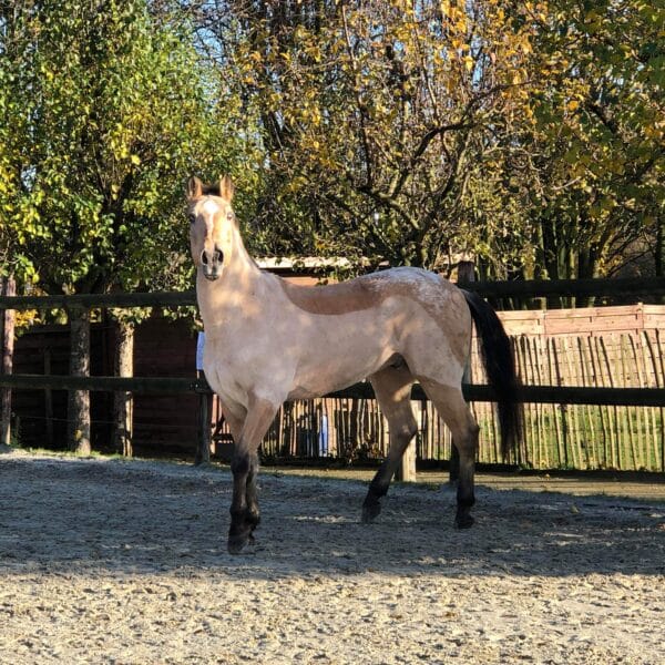 received_556358698482529