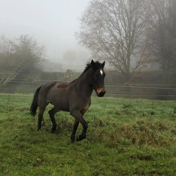 received_558177608091162