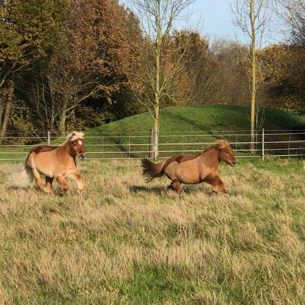 received_573643976795591