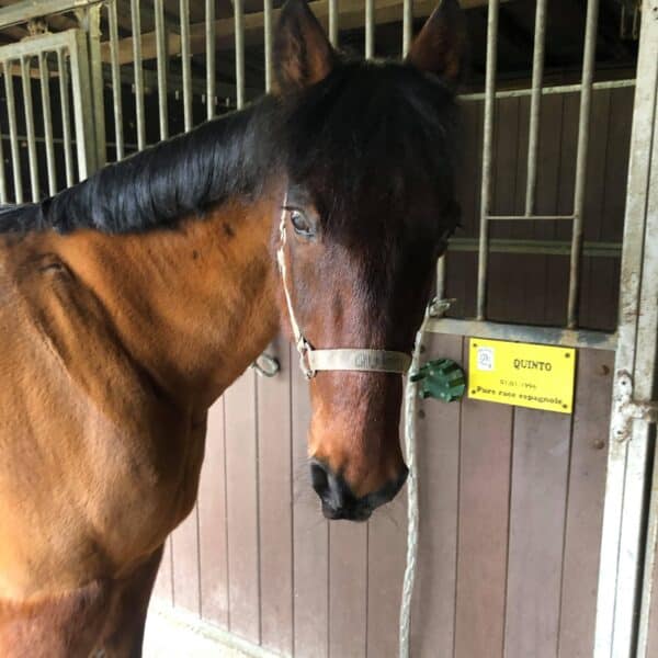 received_585854198815564