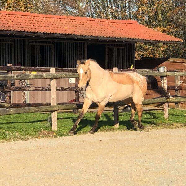 received_612848126188447