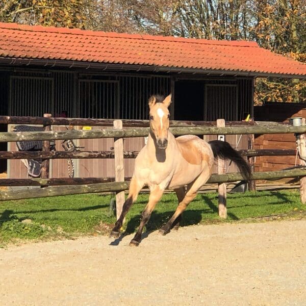 received_620617855142725