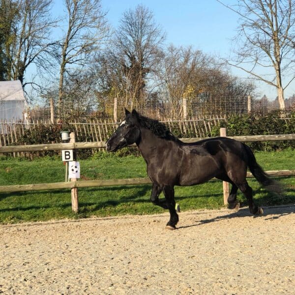 received_632947607241975