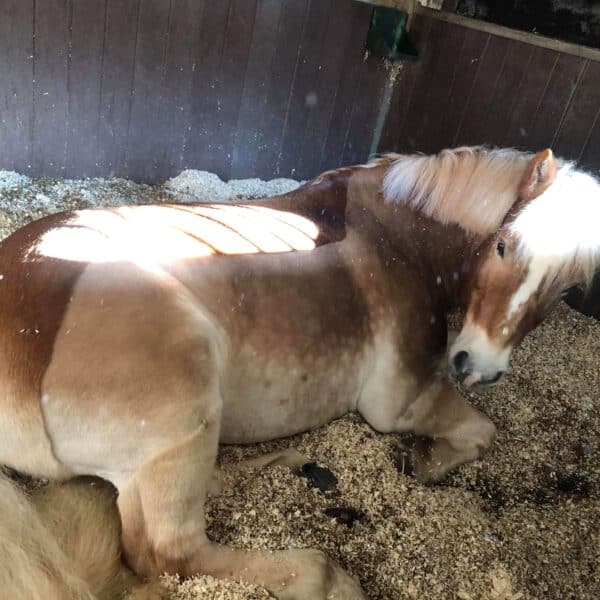 received_666177013910228