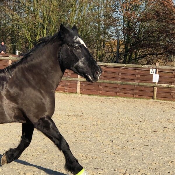 received_726343077844948