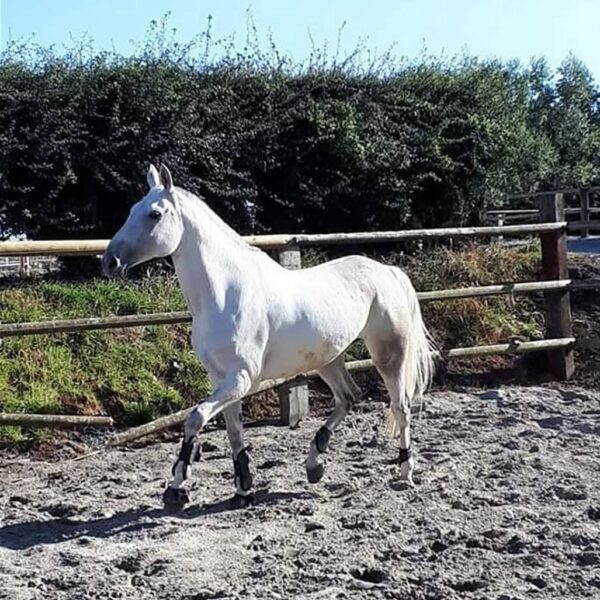 received_733202213850165