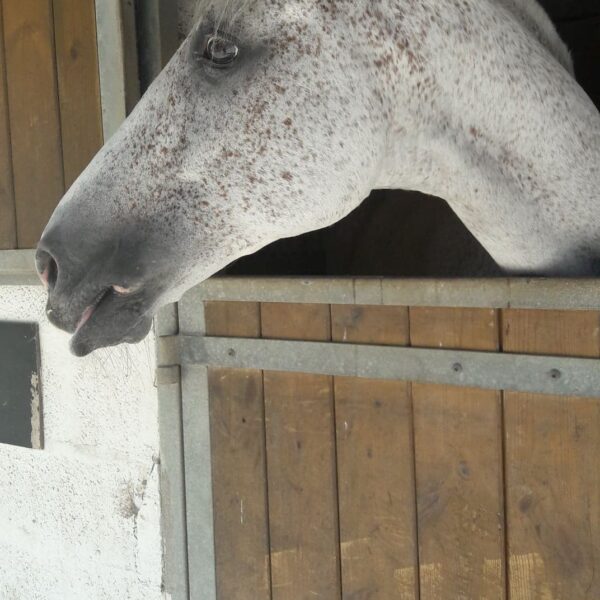 received_770568666688717