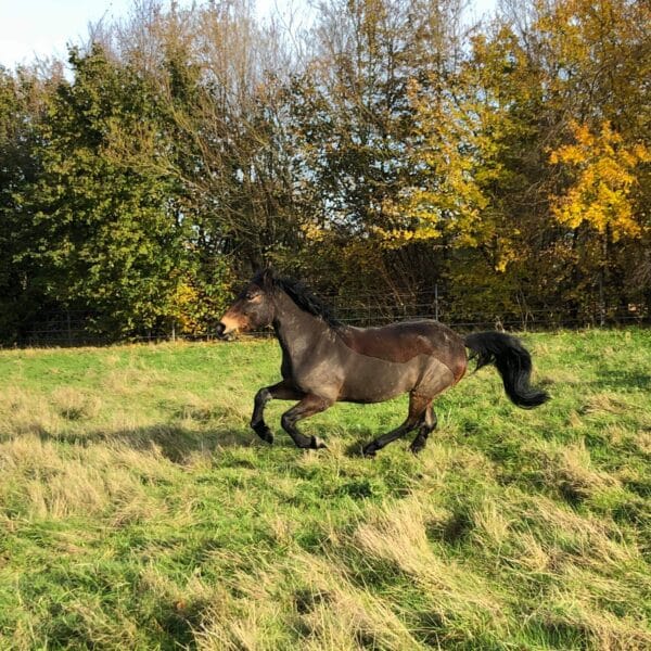 received_770979323369955