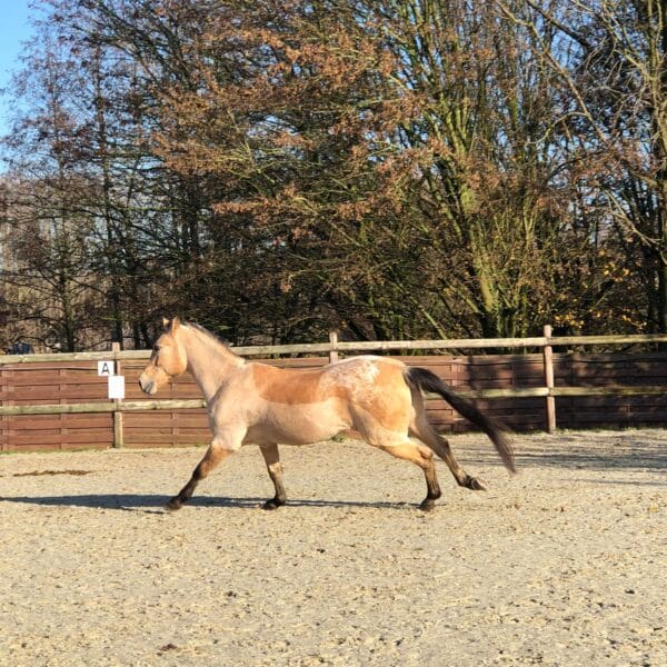 received_805742466529614