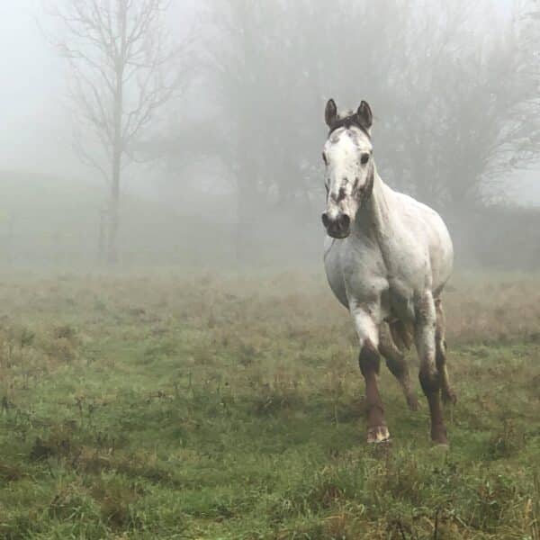 received_809149999529825