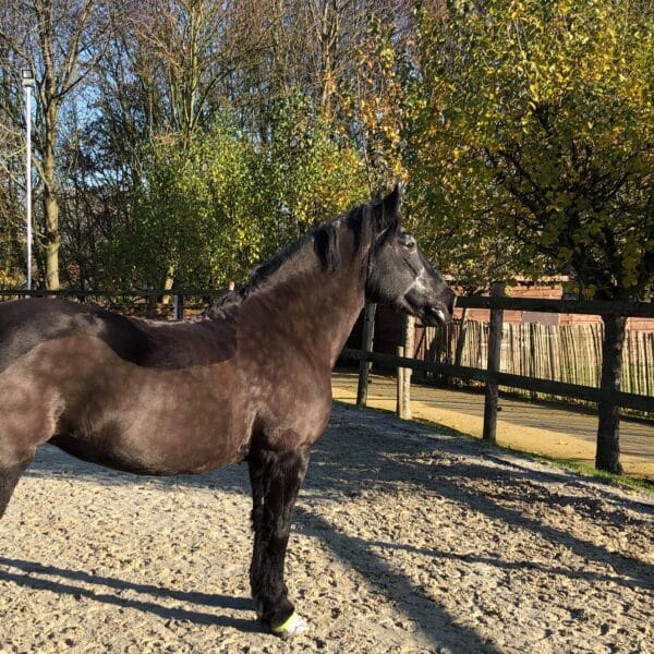 received_820211548431569