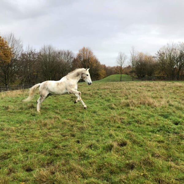 received_842434566159834