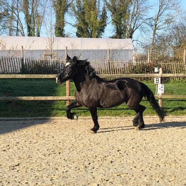 received_992792517739448