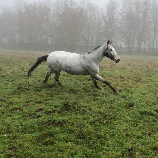 received_993186184388015